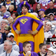Illustration for article titled Why Your Team Sucks 2013: Minnesota Vikings